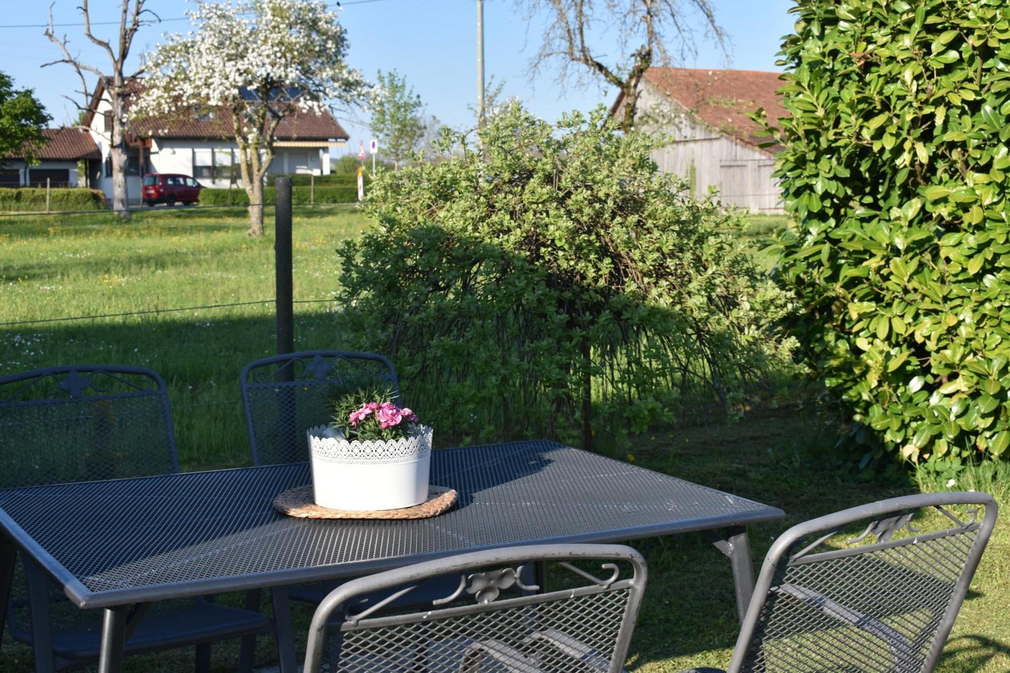 Appartamento Ferien- Und Obsthof Dillmann Langenargen Esterno foto