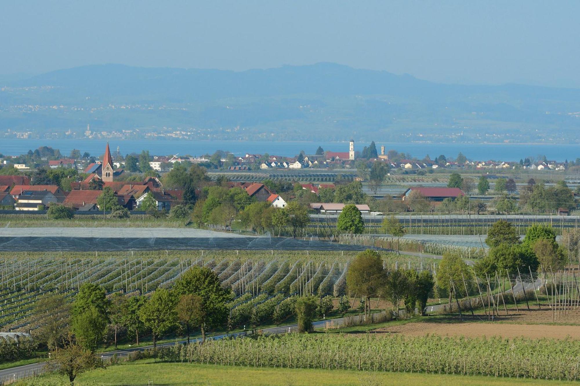 Appartamento Ferien- Und Obsthof Dillmann Langenargen Esterno foto